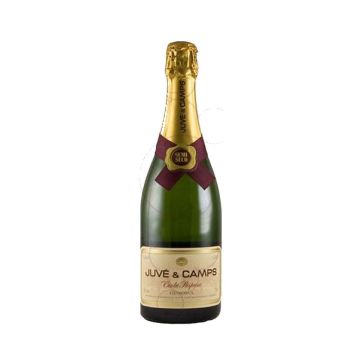 Cava Juve y Camps Reserva Brut (Cinta Purpura) 75cl 