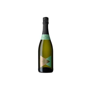 Mont-Ferrant Agusti-Vilaret 75cl 2008 