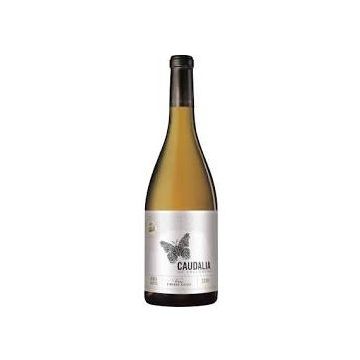 Caudalia de Vallobera 2020 75cl