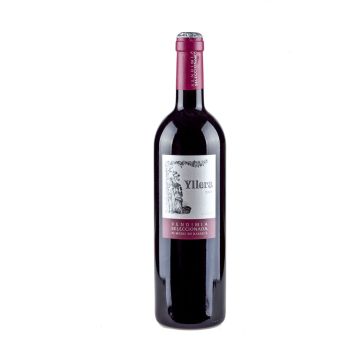 Yllera Vendimia Seleccionada Reserva 2019 75cl