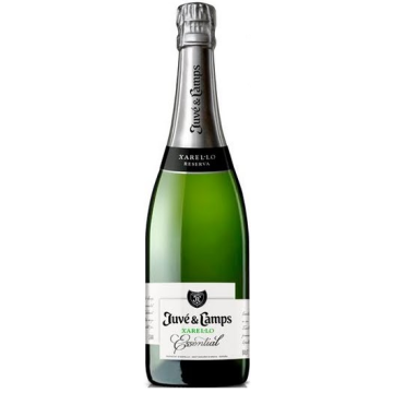 Cava Juve y Camps Xarel.lo Reserva 75cl 